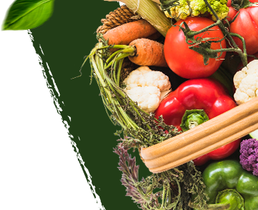 Suministro Semanal: Cesta "Huerta de Temporada"